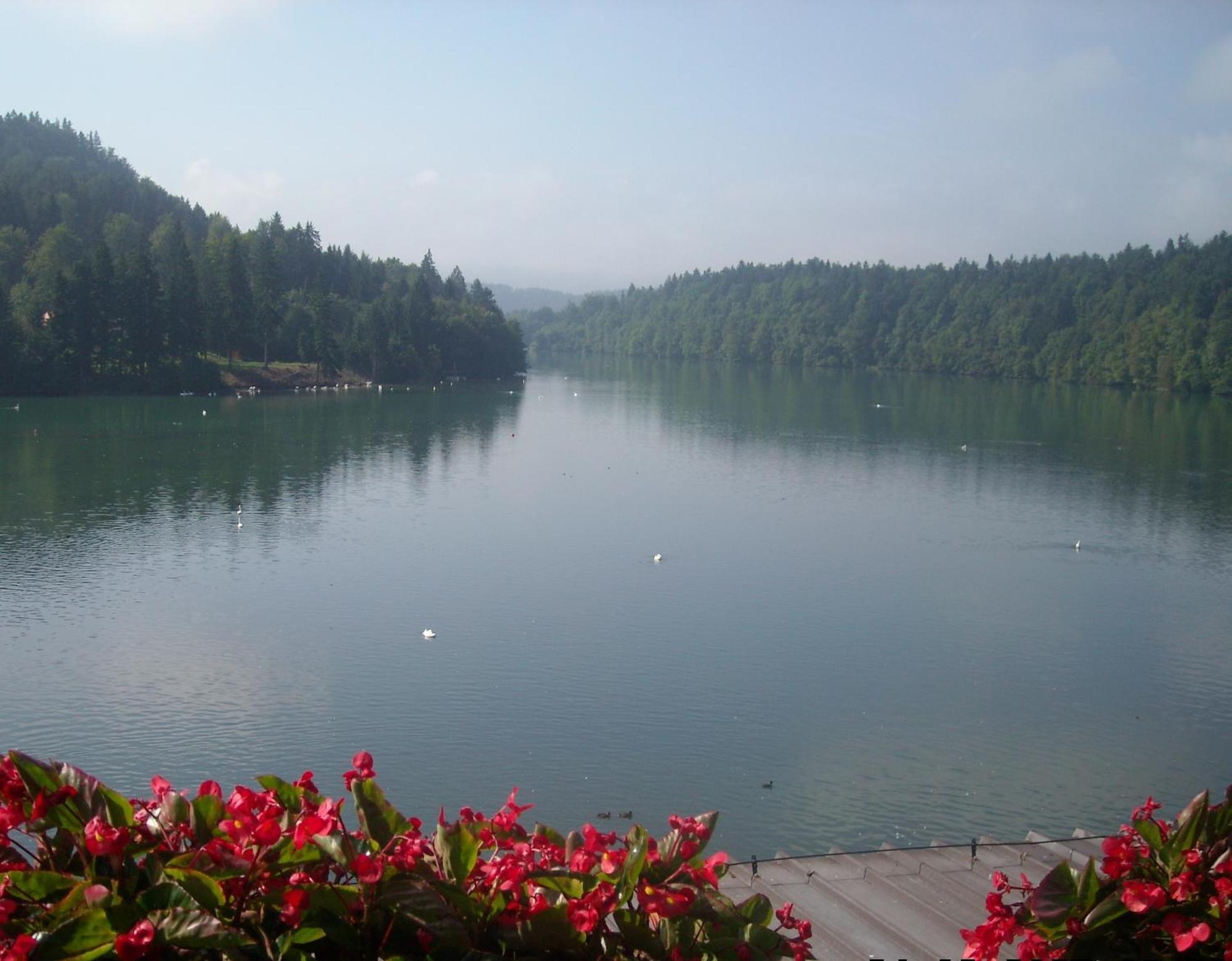 Bed and Breakfast Gostisce Jezero Медводе Екстер'єр фото